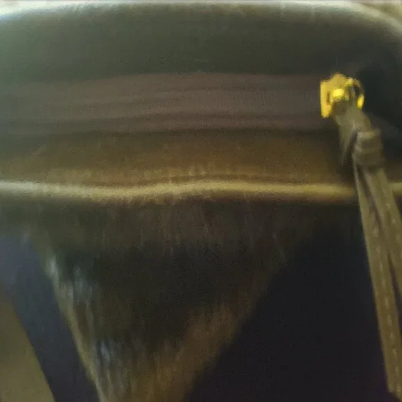 Tiannl Small Brown Fur Purse - Picture 3 of 12